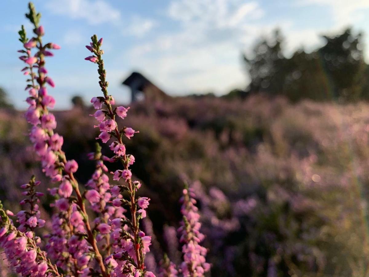 Loh Apartments - Wald.Natur.Ruhe. ウンデロー エクステリア 写真